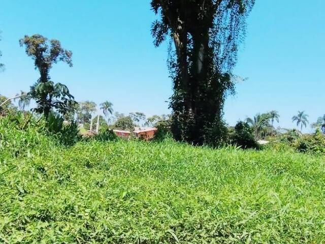 #132 - Terreno para Venda em Itapoá - SC - 1