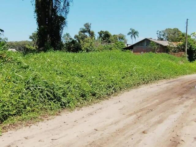 #132 - Terreno para Venda em Itapoá - SC - 3