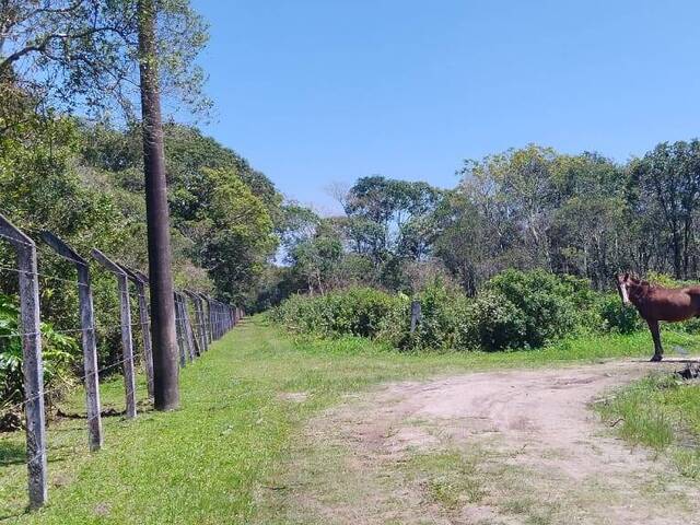 #76 - Terreno para Venda em Itapoá - SC - 3