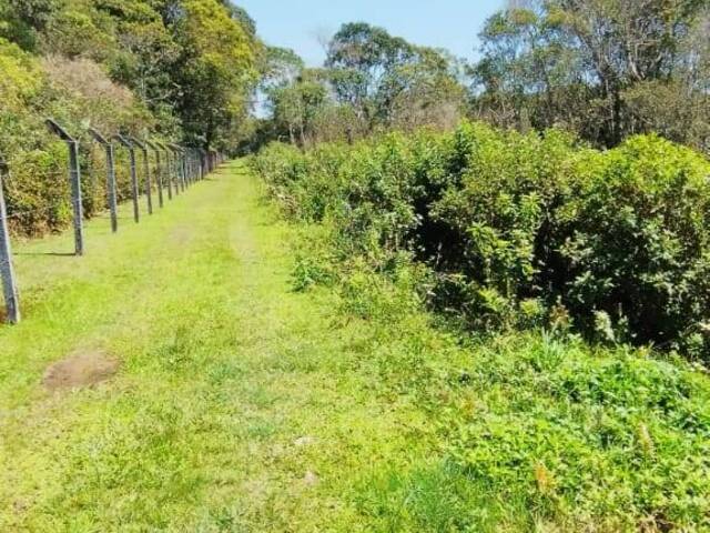 #76 - Terreno para Venda em Itapoá - SC - 1