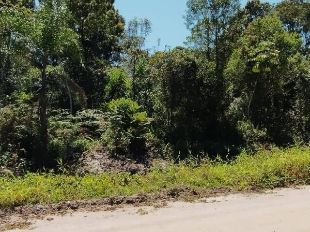 #98 - Terreno para Venda em Itapoá - SC - 3