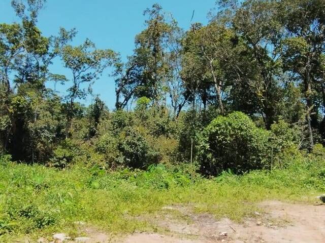 #70 - Terreno para Venda em Itapoá - SC - 1